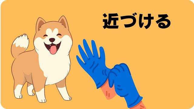 犬が噛むなら手袋