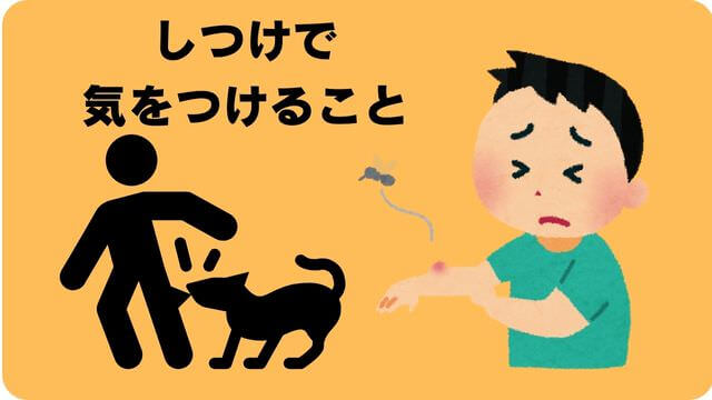 犬が噛むなら手袋