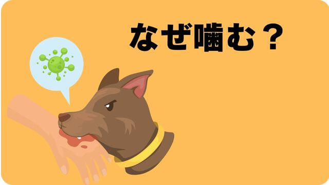 犬が噛むなら手袋