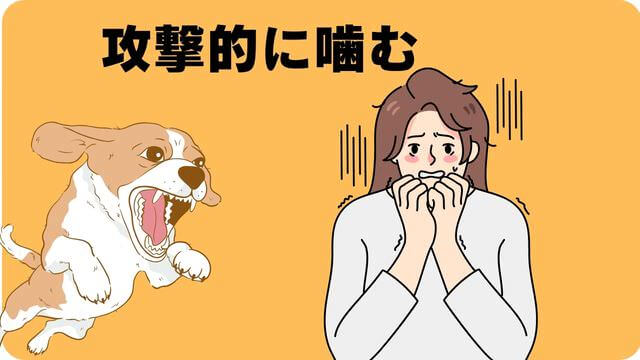 犬が噛むなら手袋