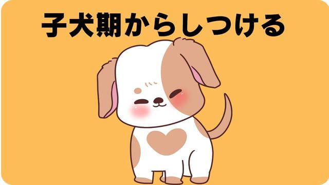 犬が噛むなら手袋