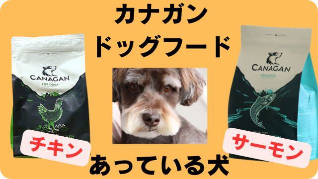 カナガンドッグフードチキンとサーモン
