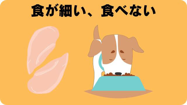 カナガンドッグフードチキンとサーモン