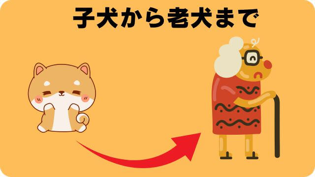 カナガンドッグフードチキンとサーモン