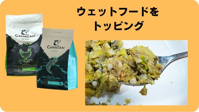 カナガンドッグフードチキンとサーモン
