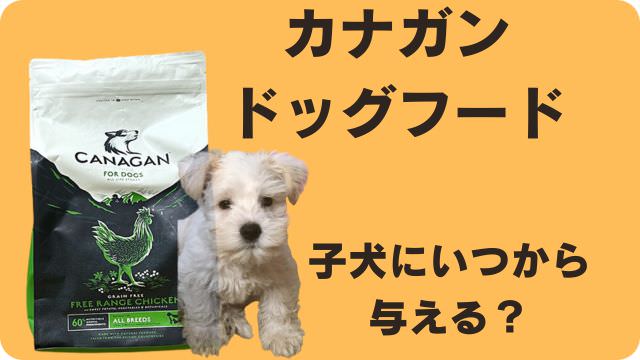 カナガンドッグフードチキン