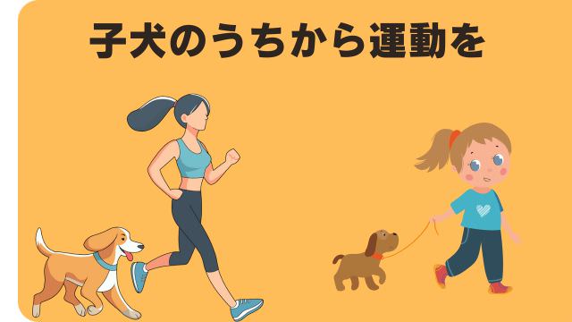 カナガンドッグフードチキン
