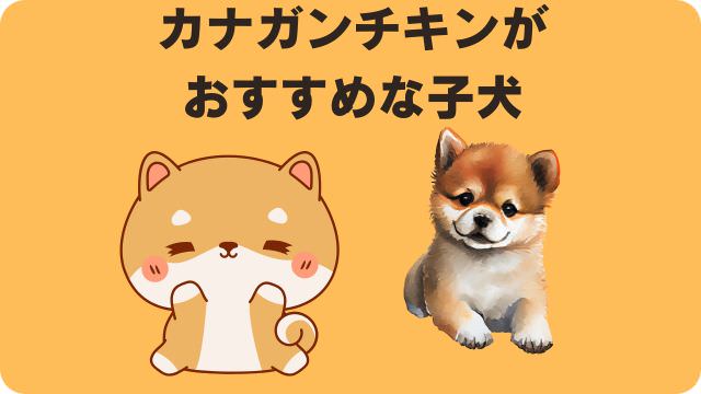 カナガンドッグフードチキン