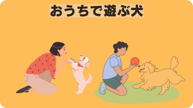 カナガンドッグフードチキン