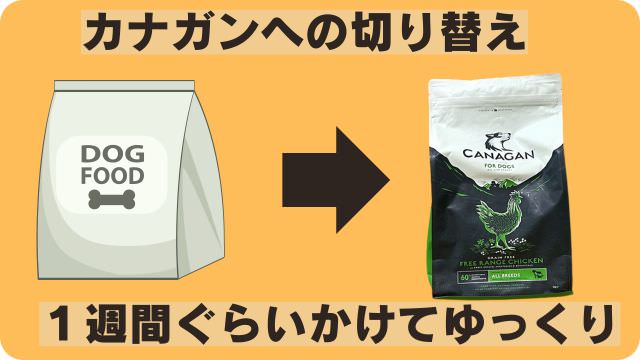 カナガンドッグフードチキン