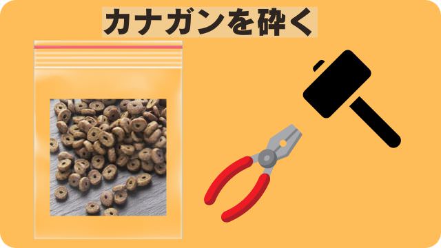 カナガンドッグフードチキン