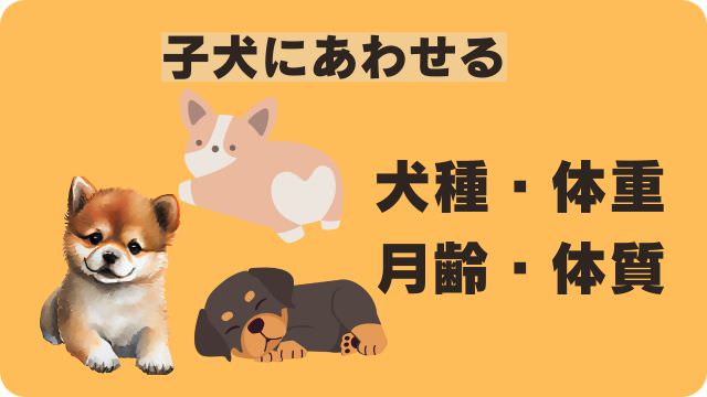 カナガンドッグフードチキン