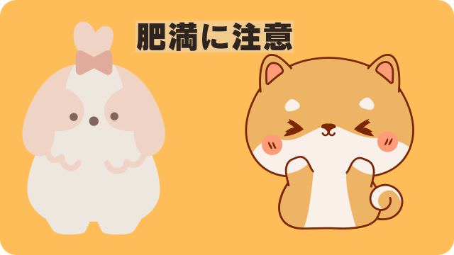 カナガンドッグフードチキン