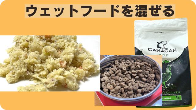 カナガンドッグフードチキン