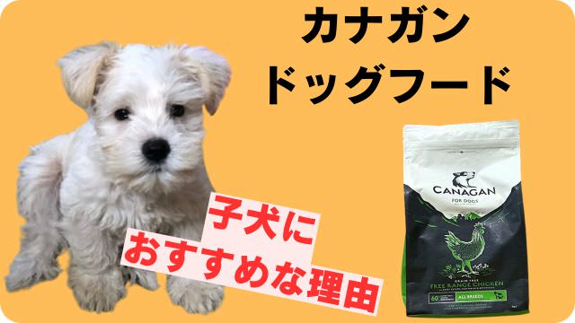 カナガンドッグフードチキン