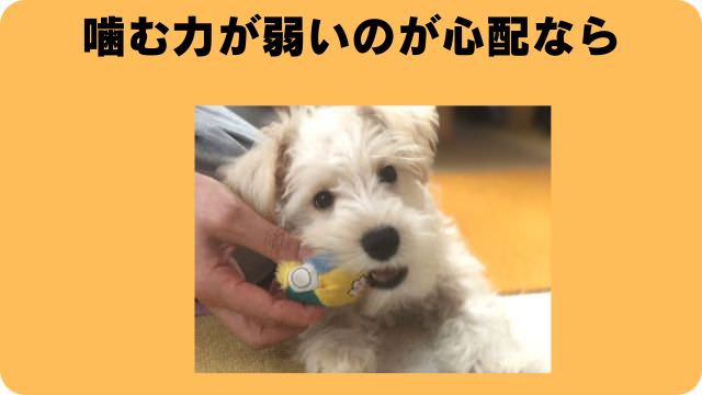 カナガンドッグフードチキン
