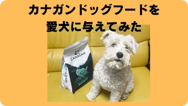 カナガンドッグフードチキン