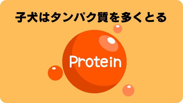 カナガンドッグフードチキン
