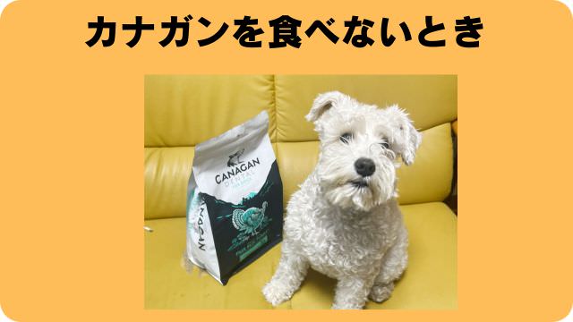カナガンチキン