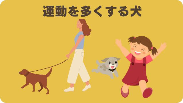 カナガンチキンドッグフードと安心犬活