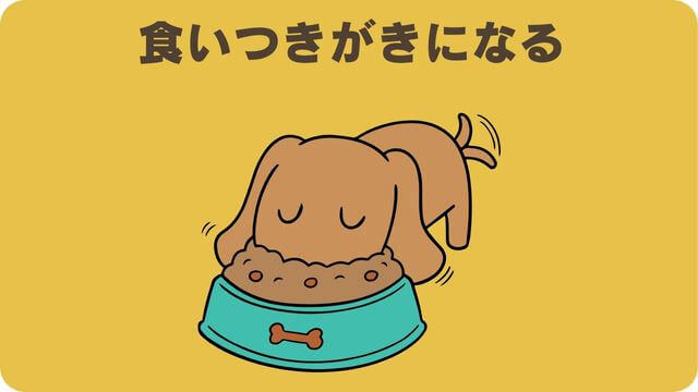カナガンチキンドッグフードと安心犬活