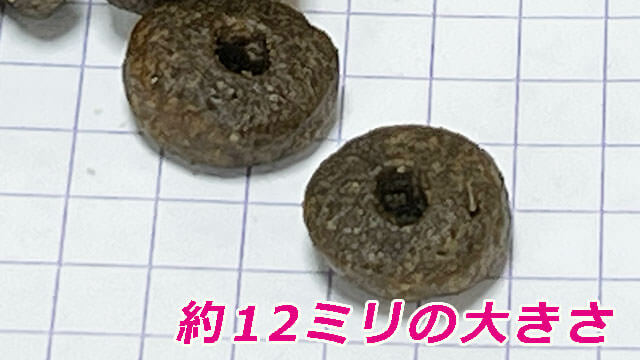 カナガンサーモン