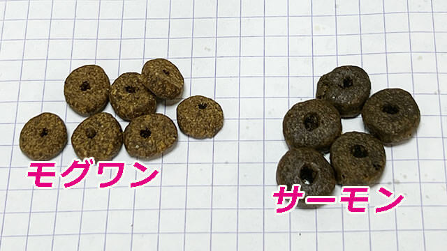 モグワンカナガンサーモン