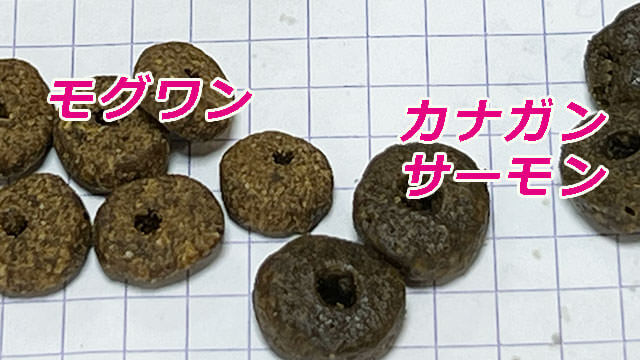 モグワンカナガンサーモン