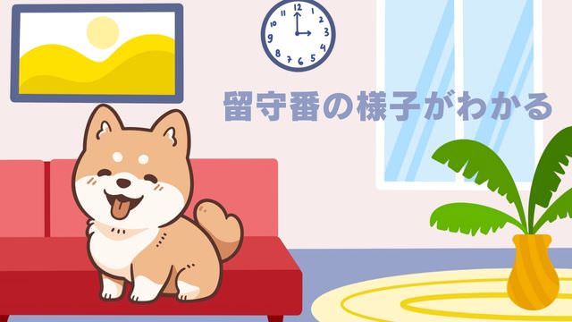 犬の留守番はペットカメラ