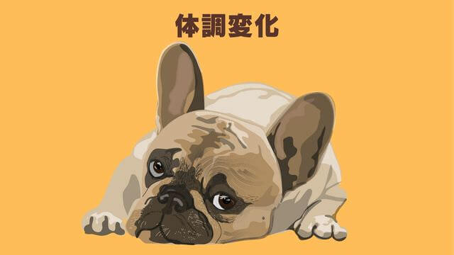犬の留守番はペットカメラ