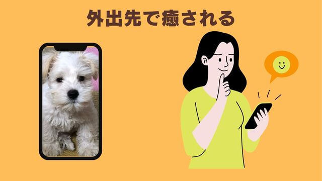 犬の留守番はペットカメラ