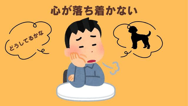 犬の留守番はペットカメラ