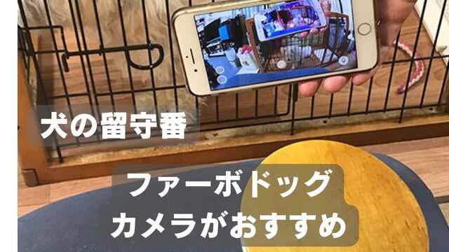 犬の留守番はペットカメラ