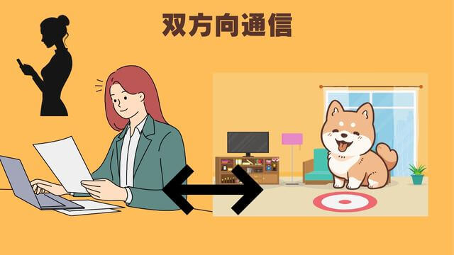 犬の留守番はペットカメラ