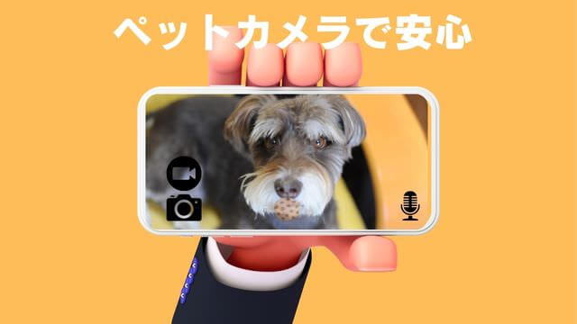 犬の留守番はペットカメラ
