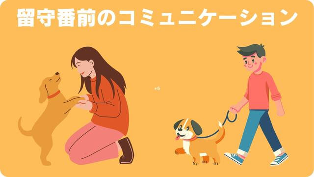 犬が留守番できないのはなぜ?原因と対処方法は
