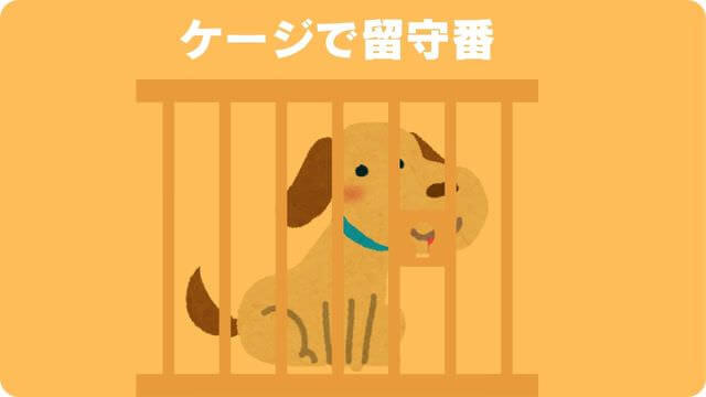 犬が留守番できないのはなぜ?原因と対処方法は