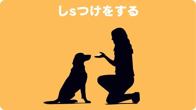 犬が留守番できないのはなぜ?原因と対処方法は