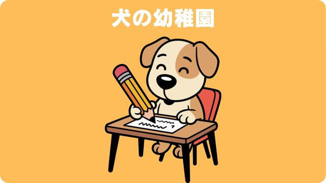 犬が留守番できないのはなぜ?原因と対処方法は