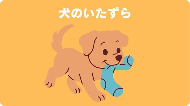 犬が留守番できないのはなぜ?原因と対処方法は