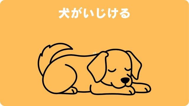 犬が留守番できないのはなぜ?原因と対処方法は