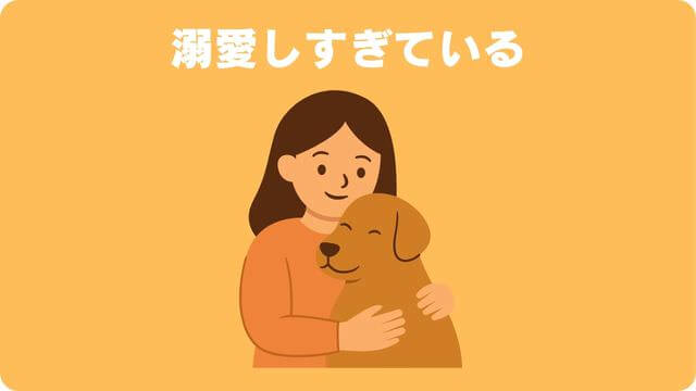 犬が留守番できないのはなぜ?原因と対処方法は