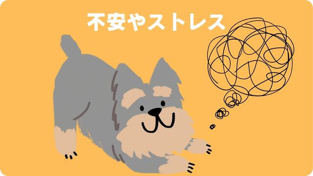 犬が留守番できないのはなぜ?原因と対処方法は