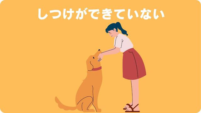 犬が留守番できないのはなぜ?原因と対処方法は