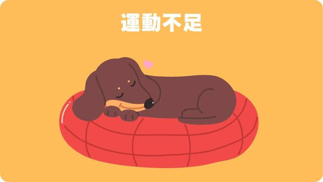 犬が留守番できないのはなぜ?原因と対処方法は