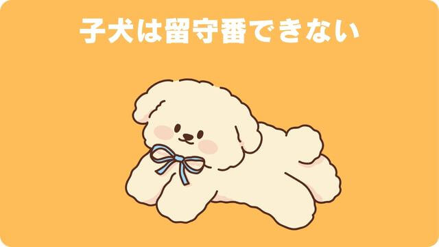 犬が留守番できないのはなぜ?原因と対処方法は