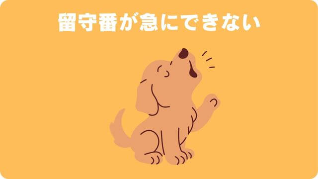 犬が留守番できないのはなぜ?原因と対処方法は