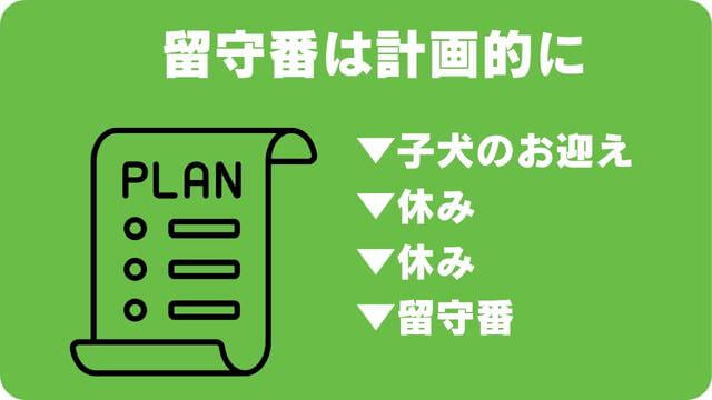 ミニチュアシュナウザー の子犬は留守番