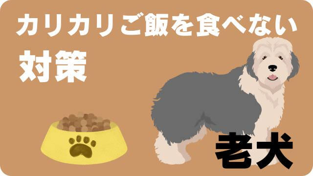 老犬がカリカリご飯を食べない