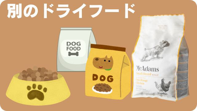 老犬がカリカリご飯を食べない